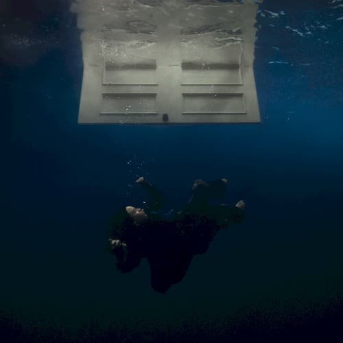 HIT ME HARD AND SOFT album artwork