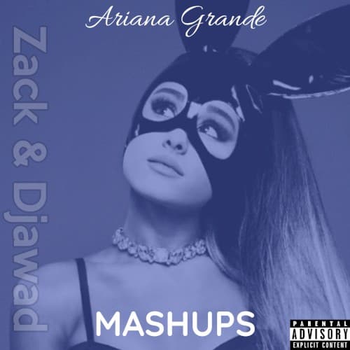 Mashups album artwork