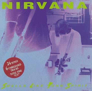 Smells Like Punk Spirit album artwork