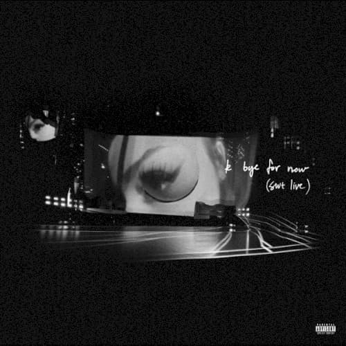 k bye for now (swt live) album artwork